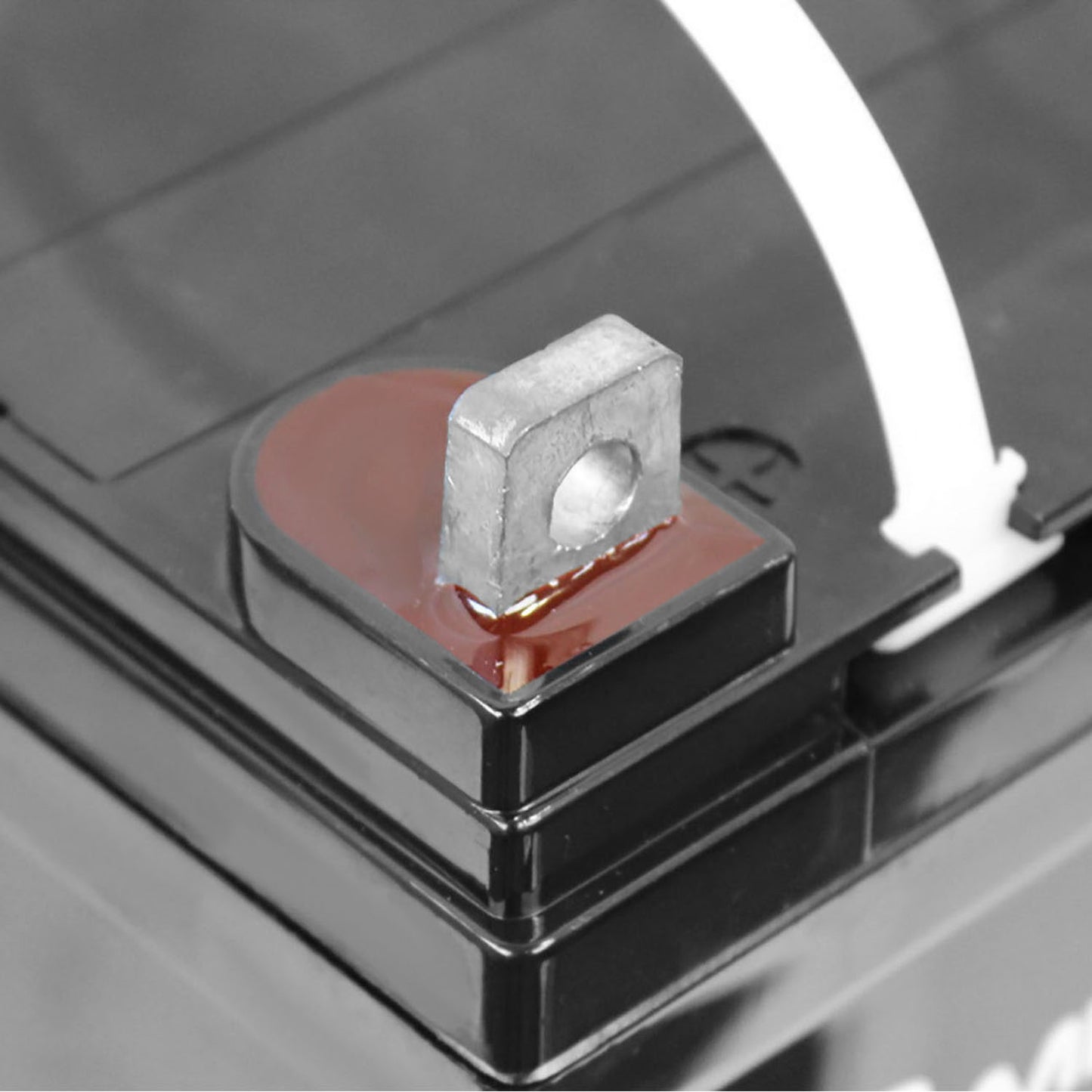 https://www.mightymaxbattery.com/wp-content/uploads/2026/04/3421769_3_0.jpg